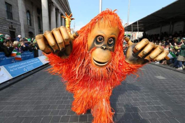 orangutan  street entertainer